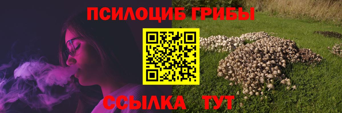 Псилоцибиновые грибы GOLDEN TEACHER  купить наркотики цена  Вход с VPN  Похвистнево  Псилоцибиновые грибы ЛСД 